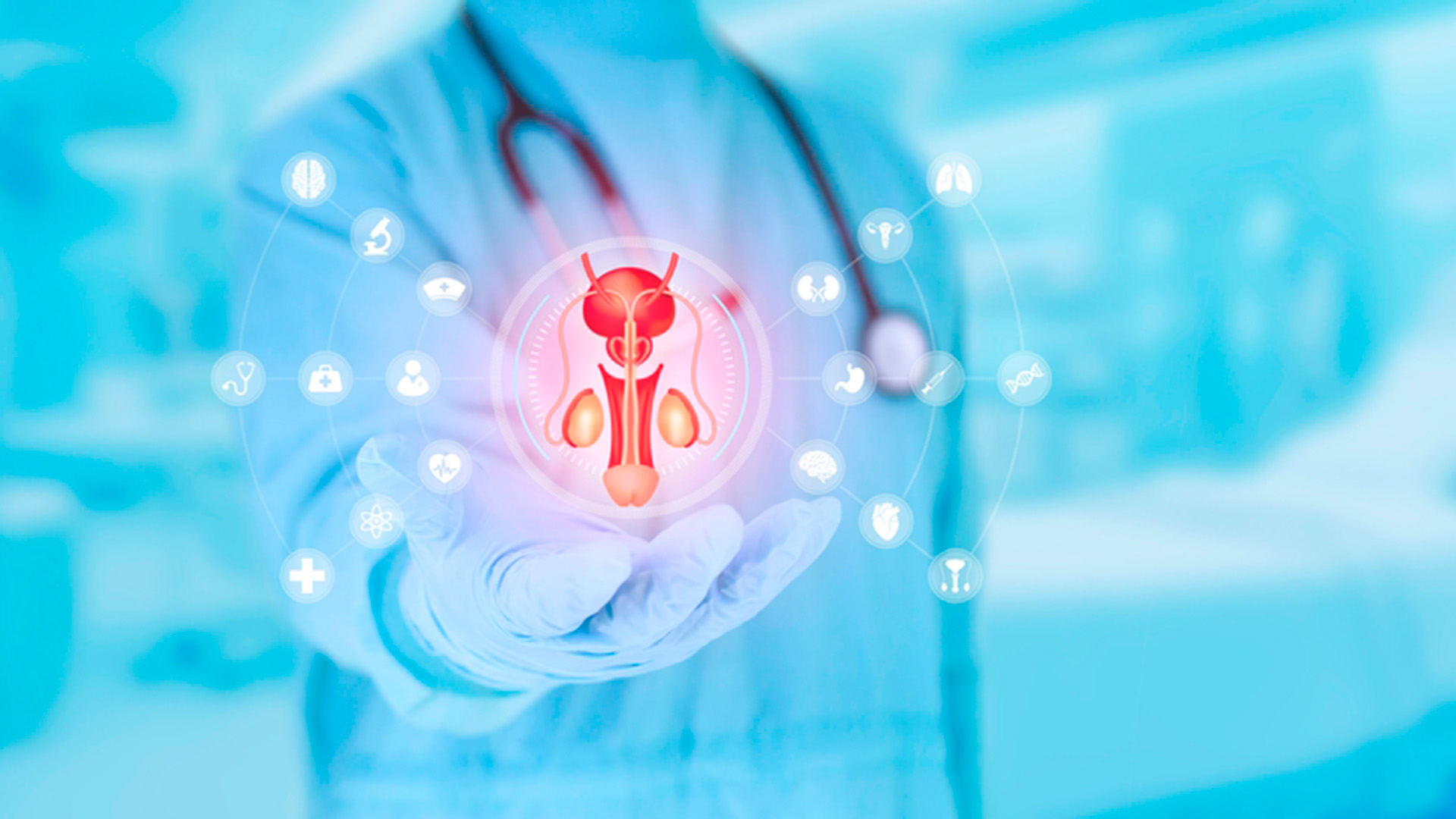 International Certification in Advanced Male Erectile Dysfunction Surgery